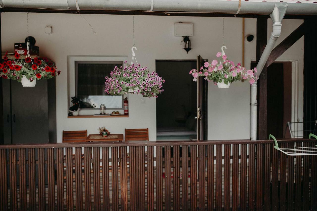 Paulaapartment&Rooms Oradea Buitenkant foto