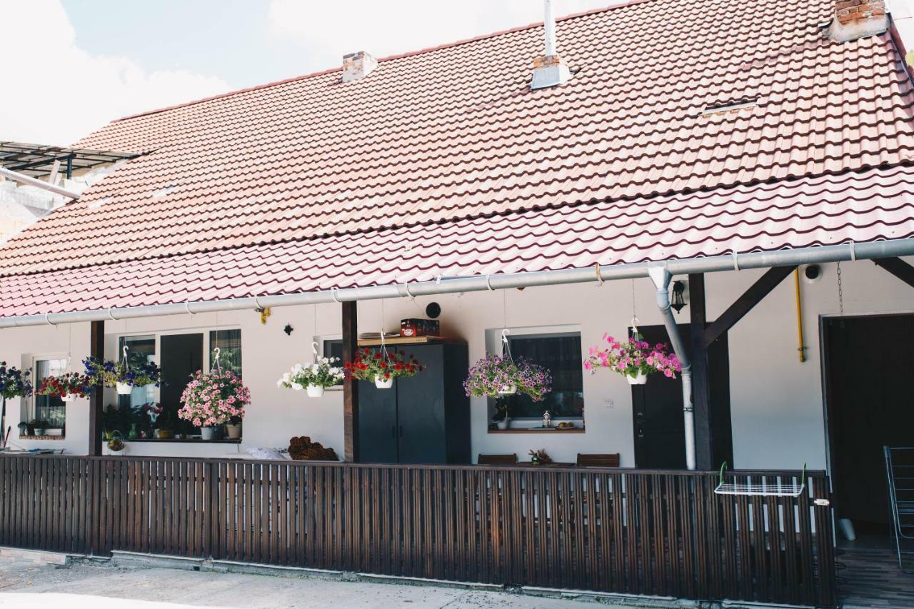 Paulaapartment&Rooms Oradea Buitenkant foto
